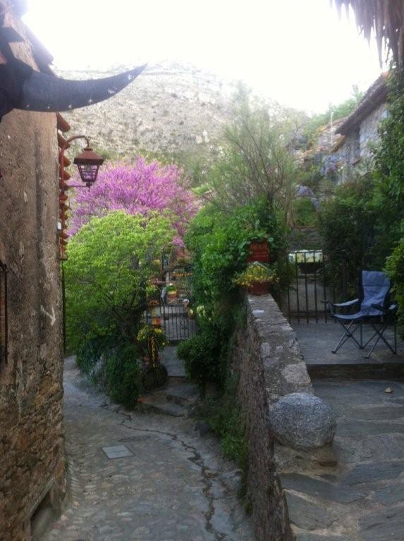 Bed and Breakfast La Figuera Camélas Exterior foto